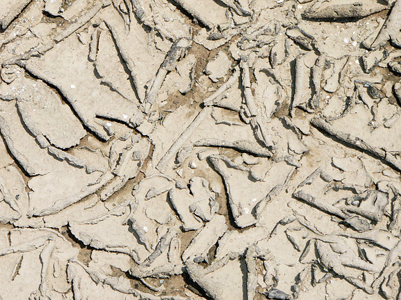 CreekBed_053_53