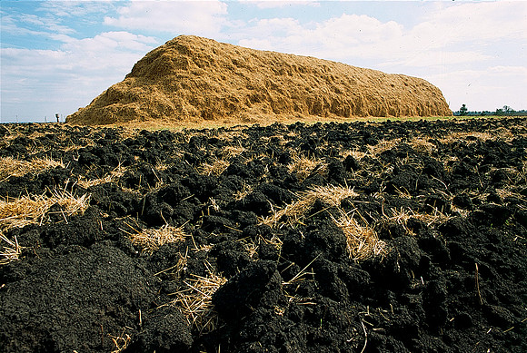 Chernozem  (Black Earth)