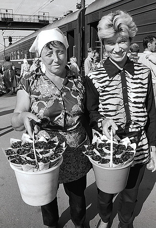 SeedBabes