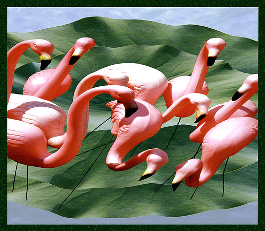 LillyMingos