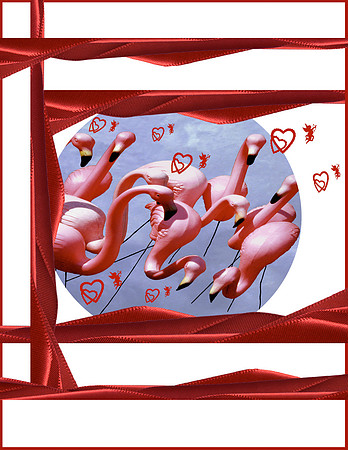 FlamingosCircle_Ribbons