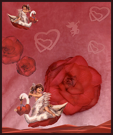 RoseSwans-wCamelia