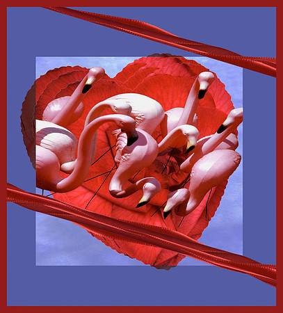 MingoHeart