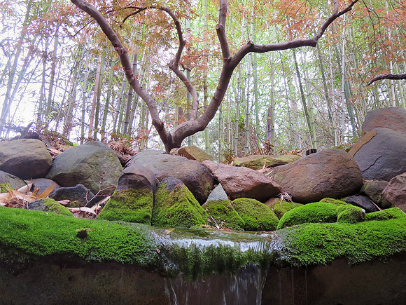 IGardenWater_1756 copy