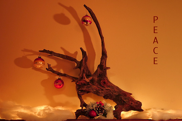Reindeer2650_4x6