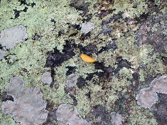 Rockside_3416f