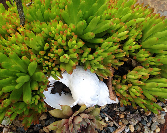 2014-07-06 Shell_sm