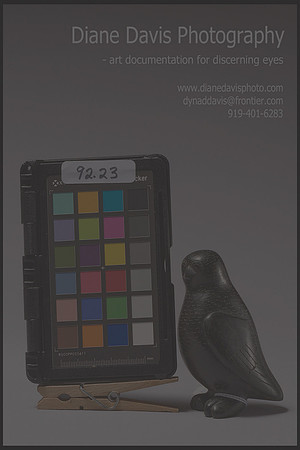 65_D.DavisPhoto-drk