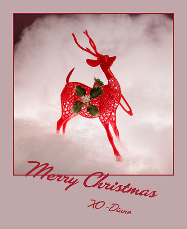 RedReindeer4165
